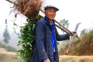 Chinese farmer carrying farming equipment