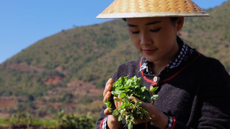 country girl holding plant in china